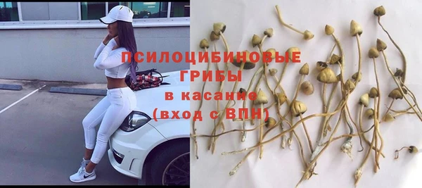 соль ск Абаза