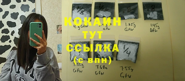 соль ск Абаза