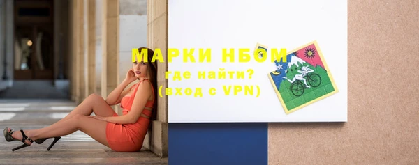 хмурый Новозыбков