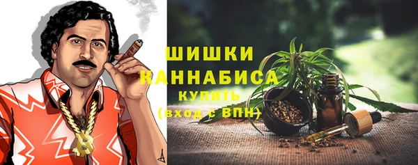 соль ск Абаза